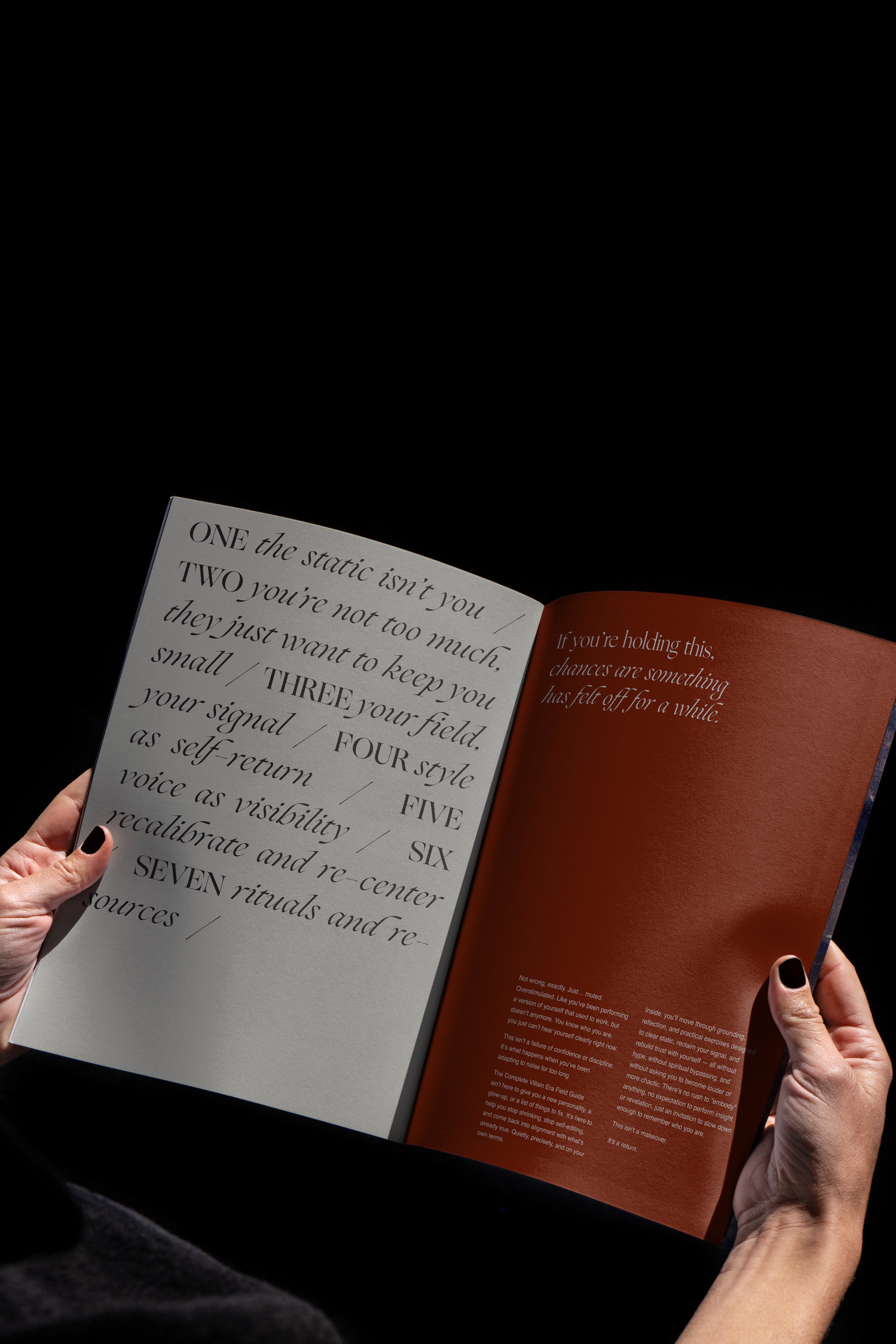 The Complete Villain Era Field Guide - - Digital - Limited Edition Apparel, Accessories, and Original Fine Art Prints, Home Decor, Feminist Minimalist Gothic Design, Made to Order, Double Kick, Signed and Numbered