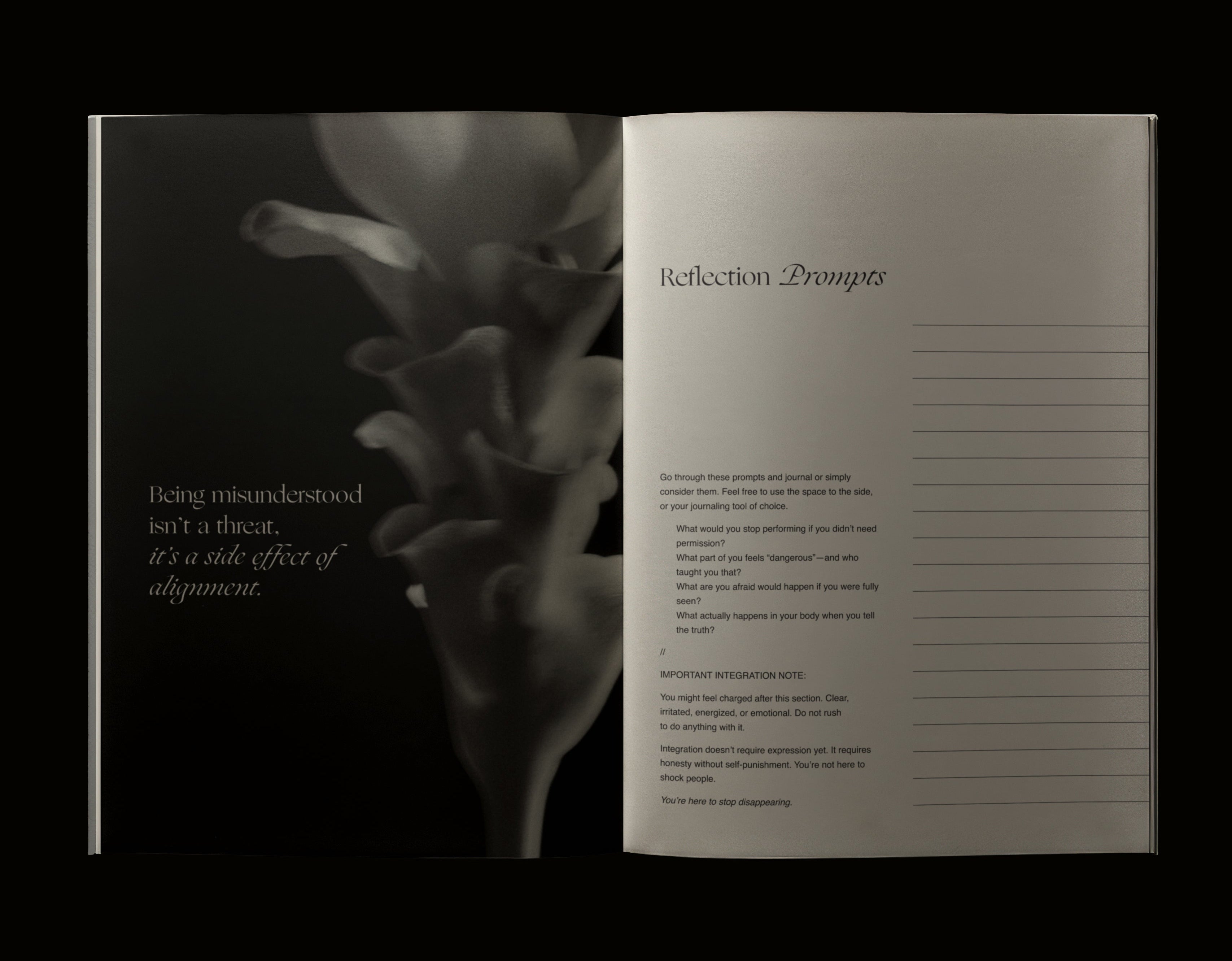 The Complete Villain Era Field Guide - - Digital - Limited Edition Apparel, Accessories, and Original Fine Art Prints, Home Decor, Feminist Minimalist Gothic Design, Made to Order, Double Kick, Signed and Numbered