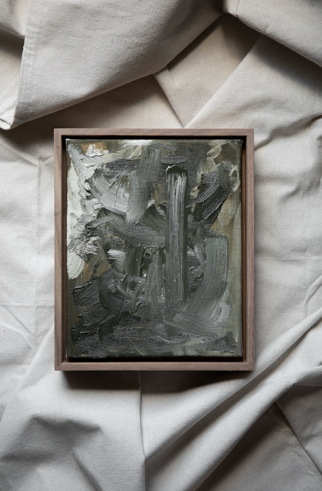 Olive Grove